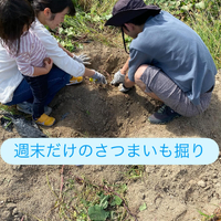 画像693