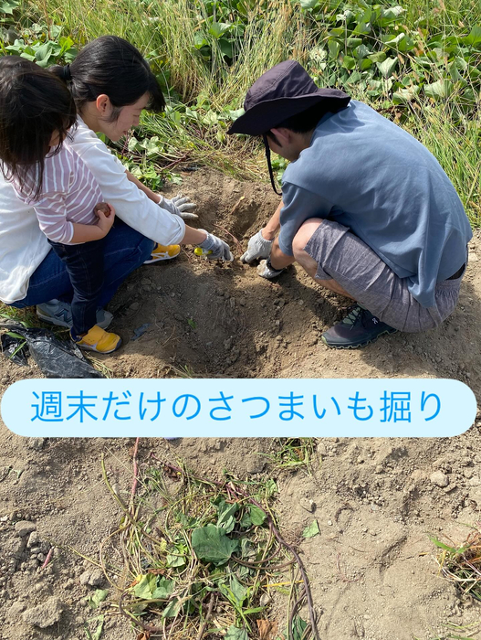 画像693