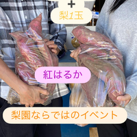 画像694