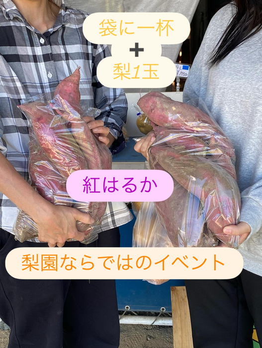 画像694