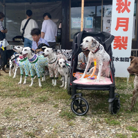 画像701