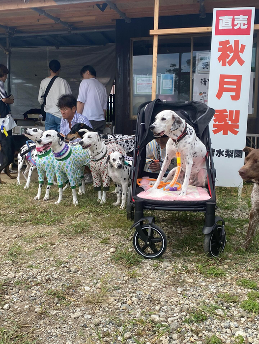 画像701