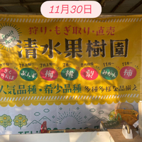 画像725