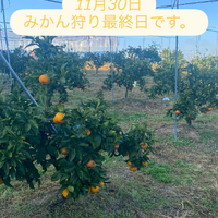 画像726