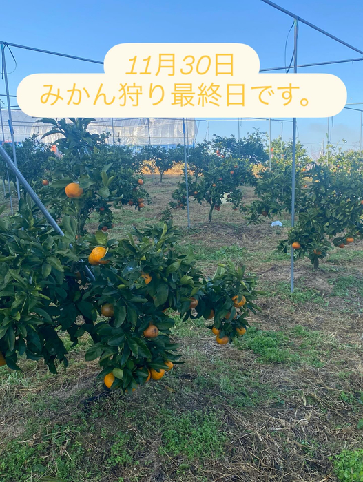 画像726