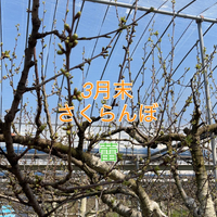 画像729