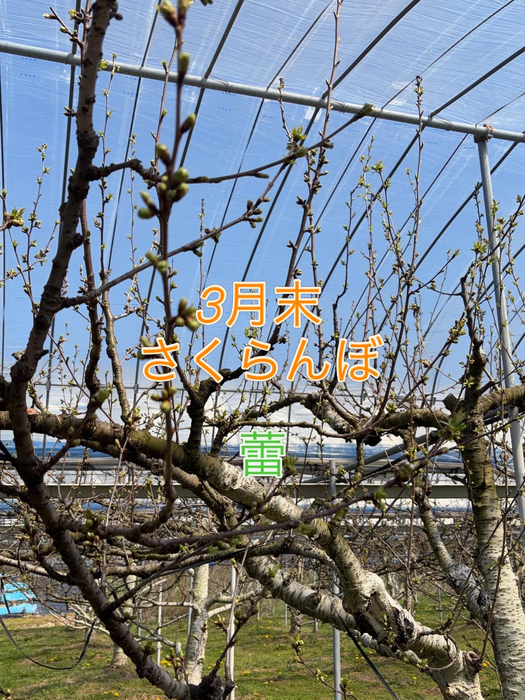 画像729