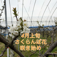 画像730