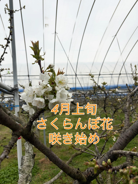 画像730