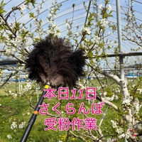 画像731