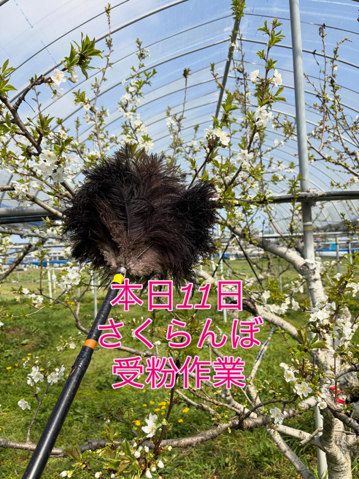 画像731