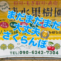 画像744