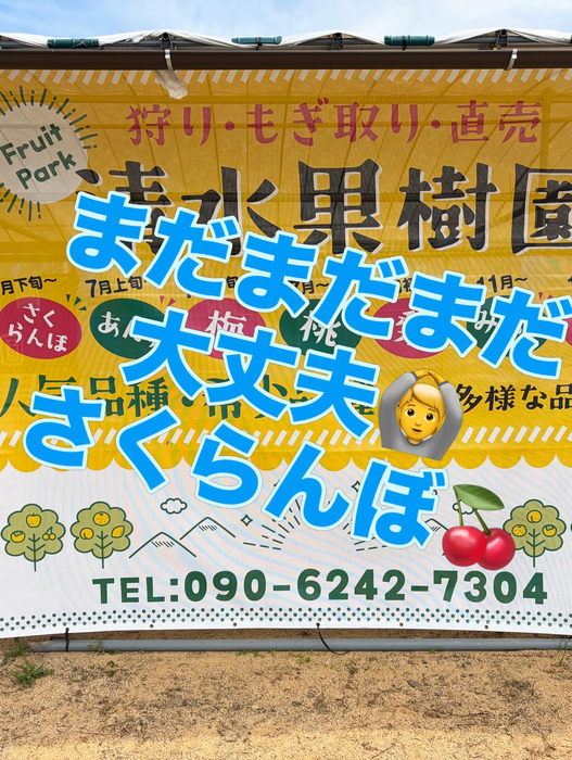 画像744