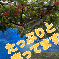 画像745