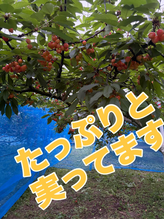 画像745