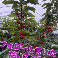 画像746