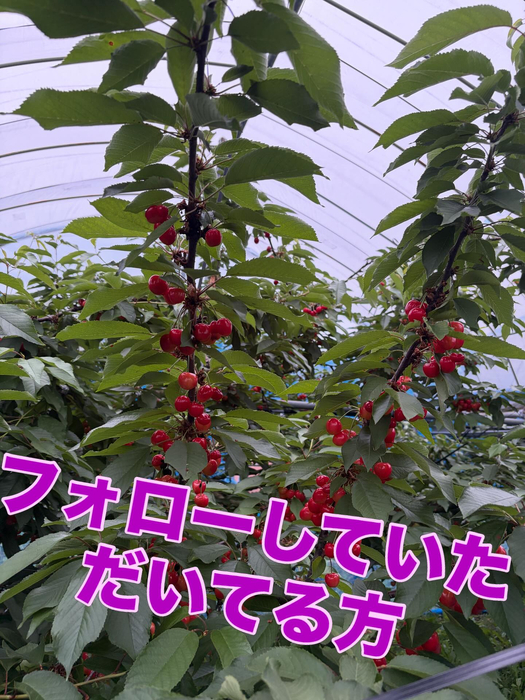 画像746