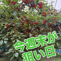 画像747