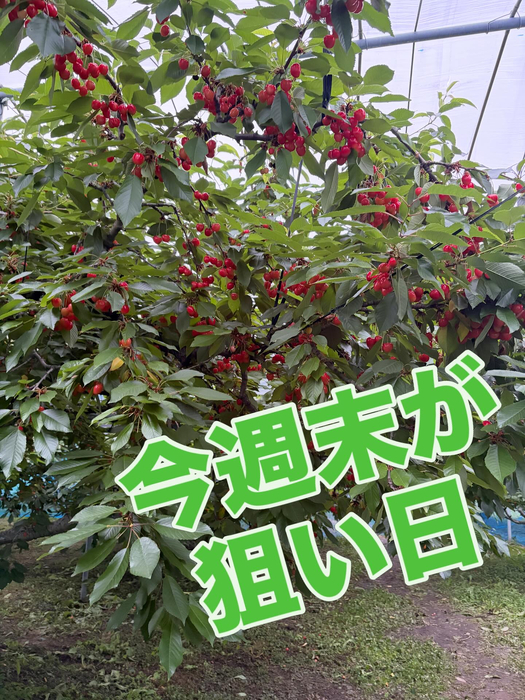 画像747