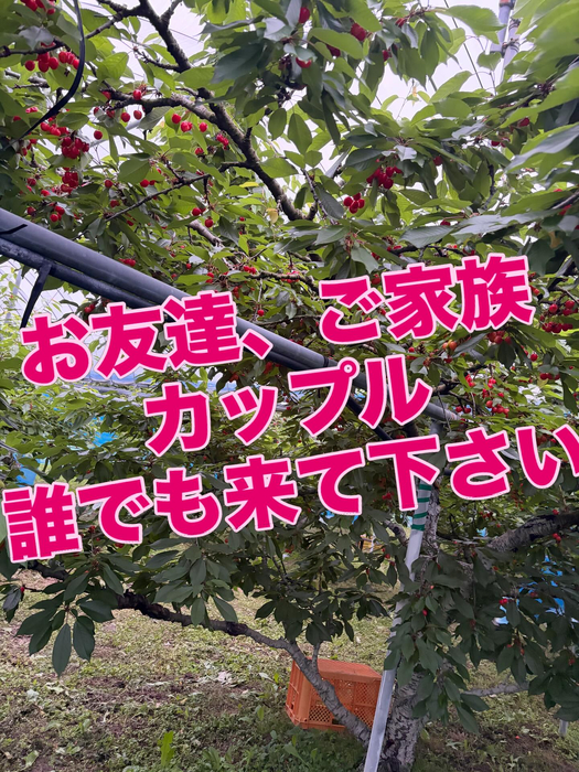 画像748
