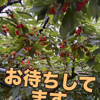 画像749