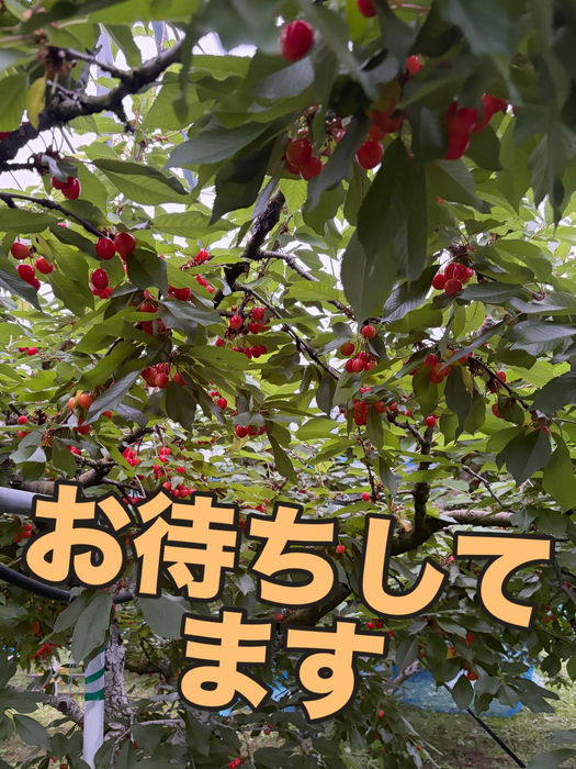 画像749
