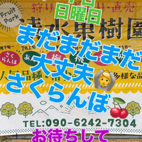 画像752