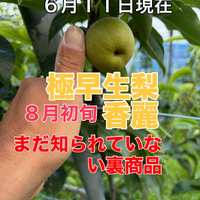 画像756
