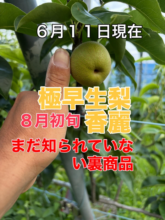 画像756