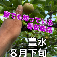 画像757
