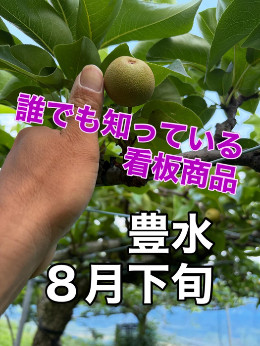 画像757