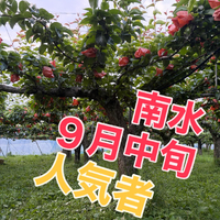 画像758