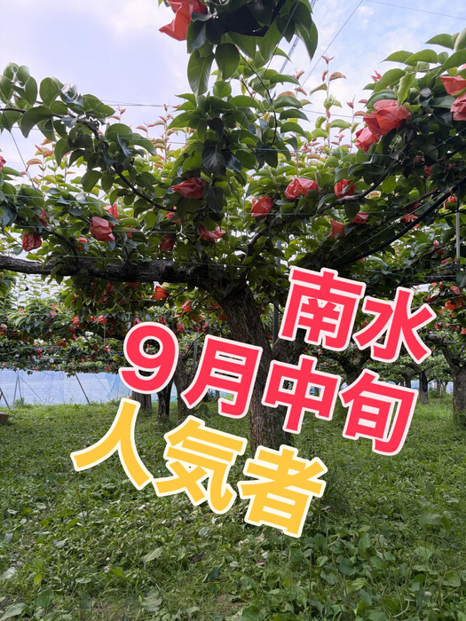 画像758