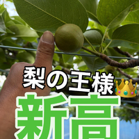 画像759
