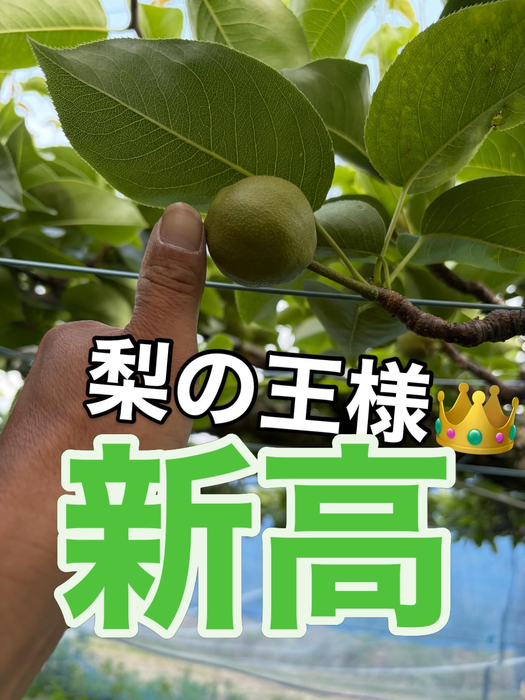 画像759