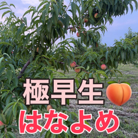 画像760