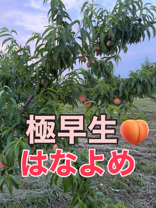 画像760