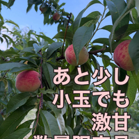画像761