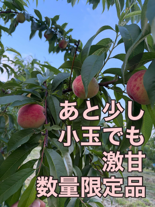 画像761