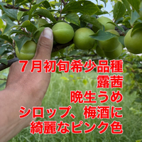 画像762