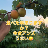 画像763