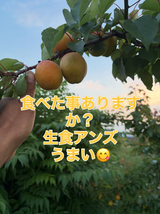 画像763