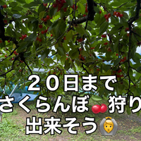画像766