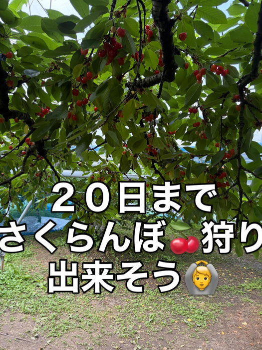 画像766