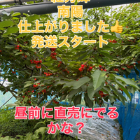画像767