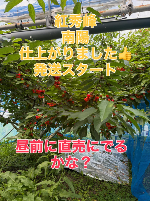 画像767