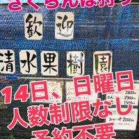 画像769