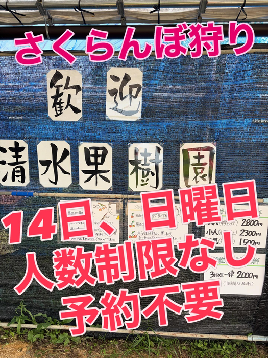 画像769