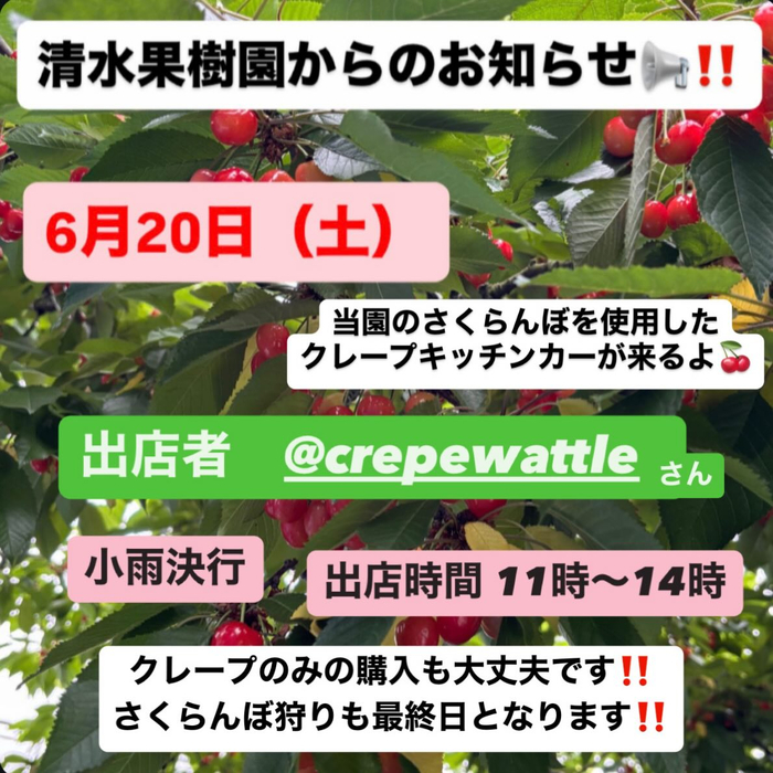 画像771