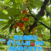 画像773